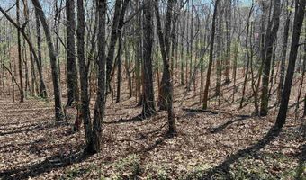 SPRINGHOLLOW ROAD lot 11, Ashville, AL 35953