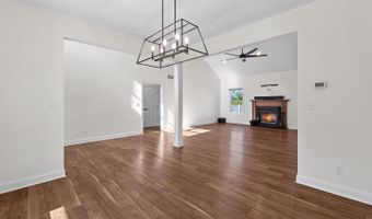 36800 PEANUT TINGLE Rd, Frankford, DE 19945