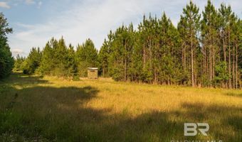 Flowers Road, Bay Minette, AL 36507
