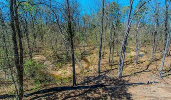 2002 Cherry Xing, Benton, AR 72015