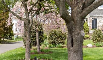 7 Waverly Rd, Darien, CT 06820