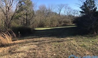 6777 Hwy 207, Anderson, AL 35610