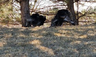 Tbd TBD, Big Timber, MT 59011