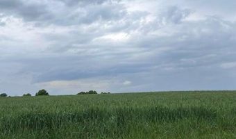 TBD STATE ROAD T, Auxvasse, MO 65231