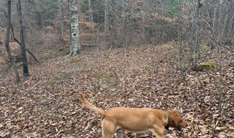 HARDWARE RD lot 1, Arvonia, VA 23004