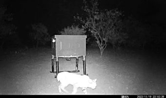 12415 County Road 356, Anson, TX 79501