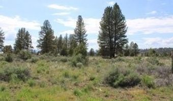 Deer Springs Road, Beatty, OR 97621