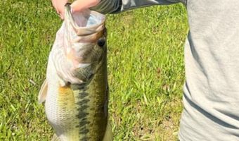 6150 SHOAL CREEK Rd 124+/- Acres, Ashville, AL 35953