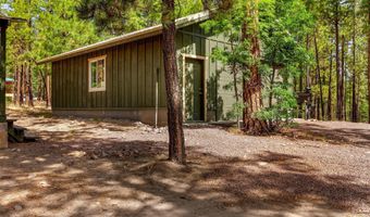 56 Co Rd 2266, Alpine, AZ 85920
