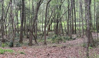 Driftwood Ln, Andalusia, AL 36421