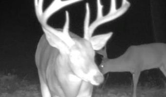 1037 Cr 300, Big Creek, MS 38914