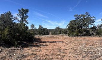 362 Big View Trl, Ash Fork, AZ 86320