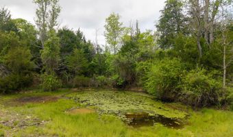 493 County Road 151, Alton, MO 65606