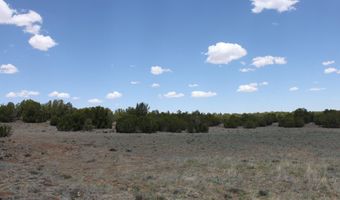 N8190, Concho, AZ 85924