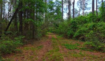 23826 Opine Rd, Andalusia, AL 36421