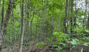 Lot 91 Buckeye Lane, Wilder, TN 38589