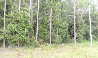 11730 NE 101ST Ter, Archer, FL 32618