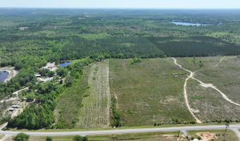 xxx County Hwy 73, Altha, FL 32421
