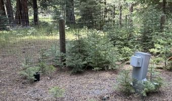 Cedar Way, Alturas, CA 96101