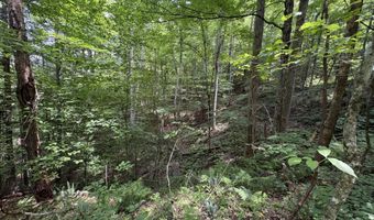 643 Pine Grove Rd, Beattyville, KY 41311