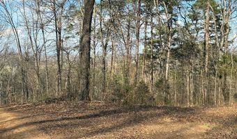 13356 Ellison Trce, Birchwood, TN 37308