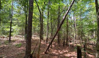 Dixon Ln SE, Bogue Chitto, MS 39629