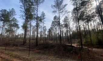 03 County Road 6650, Banks, AL 36005