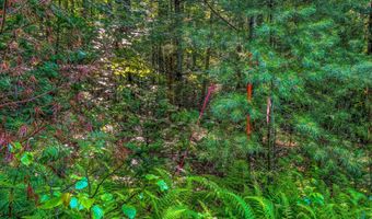 38 F Lang Rd, Bath, NH 03740
