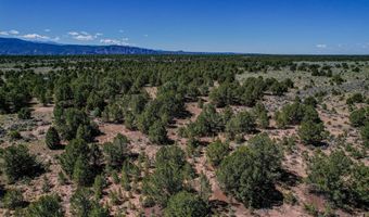 B 2 Comanche Trail, Carson, NM 87517