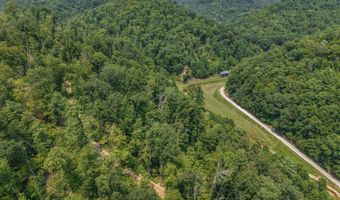 3750 Hunting Creek Rd, Bays, KY 41310