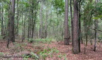 Carbon Plant Road, Bastrop, LA 71220