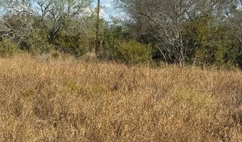 CR 170, Alice, TX 78332