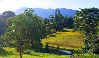 OLOHENA RD Lot #: 3, Kapaa, HI 96746