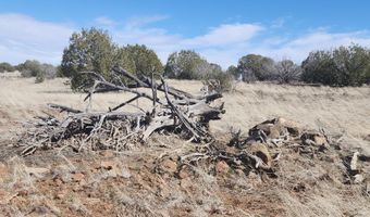 644 Cortez Ranch Rd, Ash Fork, AZ 86320