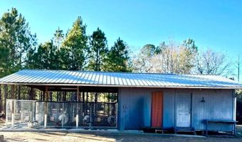 963 Springhill Church Rd, Alamo, GA 30411