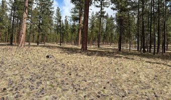 31760 HWY 10 W, Alberton, MT 59820