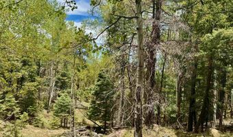 Lot 455 El Camino Real, Angel Fire, NM 87710