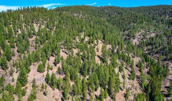 NNA Canary Creek Rd, Cataldo, ID 83810