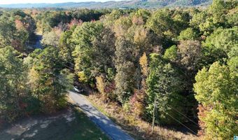 0 WALDROP Rd 10.82 Acres, Ashville, AL 35953