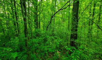 4376 VT-22A, Bridport, VT 05734