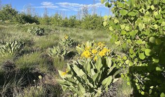 Tbd VISTA RIDGE LANE, Bondurant, WY 82922