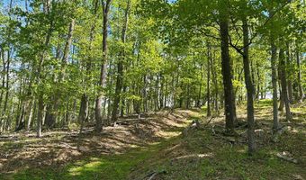 12 Acs Gidsville Rd, Amherst, VA 24521