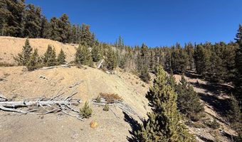 0 County Road 787, Alma, CO 80420