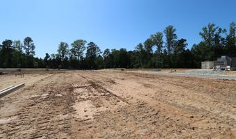 1100 Sparkling Lake Dr, Apex, NC 27523