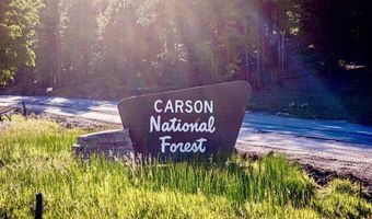 27502 US Highway 64 Roadrunner Tours, Angel Fire, NM 87710