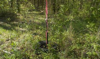 Steve Brown Road, Bean Station, TN 37708