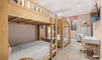 101 E Hallam St, Aspen, CO 81611