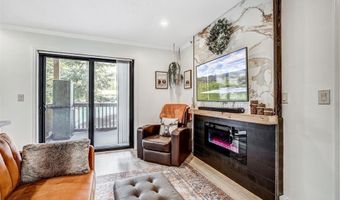 306 ILLINOIS GULCH Rd 113, Breckenridge, CO 80424