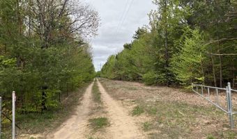 9718 NE FOREST LANE Dr, Alden, MI 49612