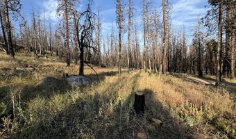 Seal Lane 37, Bonanza, OR 97623